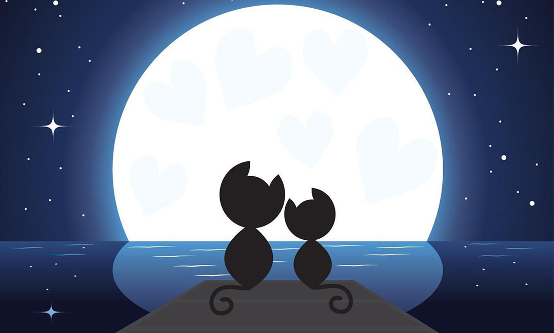 卢湾潮客汇微信活动策划案例