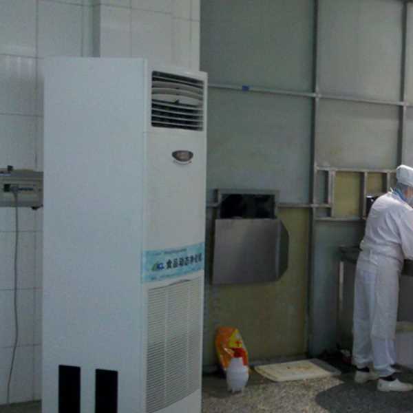 卢湾食品正负离子空气杀菌器